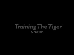 'Young Tiger submits to the whip and sexual advances as his long training begins'