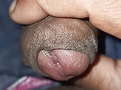 Penis shot