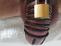 Chastity cage after a week of sissy training, dreaming of a daddy's cock