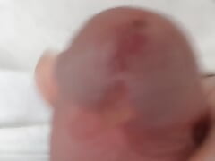 Big cock dripping precum and piss.