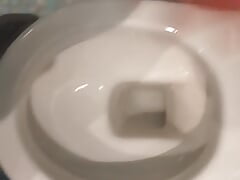 POV Pissing in the Toilet