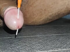Penis head piercing barbell 2