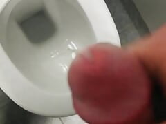 Cum in the Toilette