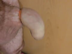 Limp cock with elastrator bands on wants to get hard